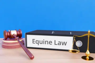 Equine law firm in the Netherlands