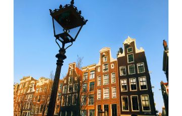 Appeal proceedings in the Netherlands