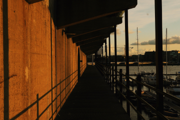 Arbitration Netherlands