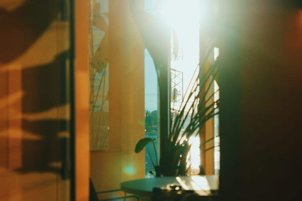 Contract attorney in Amsterdam