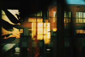 Legal Frameworks of Product Liability in the Netherlands