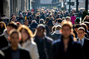 What is the Procedure for a Penalty from a Dutch Regulatory Authority?