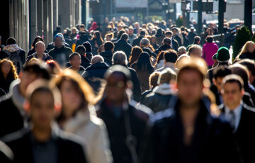 What is the Procedure for a Penalty from a Dutch Regulatory Authority?