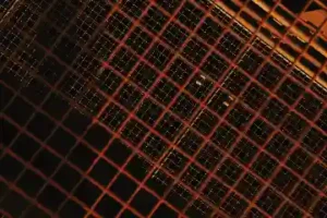 Dispute with the NVWA: What Should You Do?