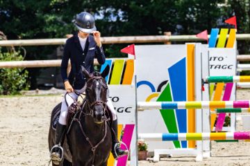 Non-conformity of a horse in the Netherlands