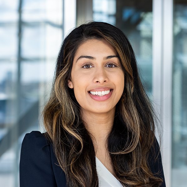 International lawyer Netherlands