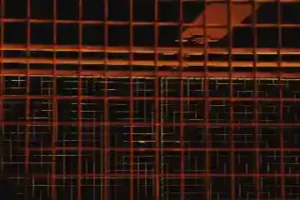 What Can You Do If Your Bank Account Has Been Seized?